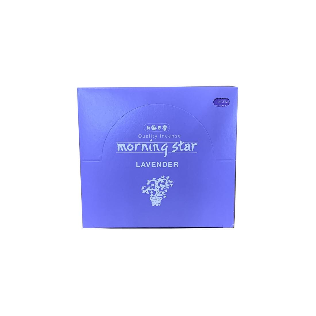 Morning Star Lavender 600 Sticks (Pack of 12 x ) - 50 Eco Incense Sticks